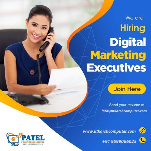 Digital marketing executive