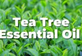 Tea Tree Oil