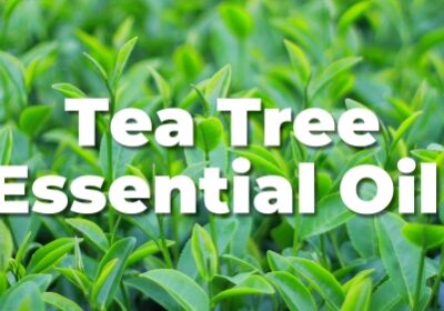 Tea-Tree-Oil-b1