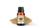 Carrot Seed Oil