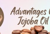 Jojoba Oil Is Your New Best Buddy If You Have Oily Skin.