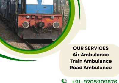 Falcon-Emergency-Train-Ambulance-Services-2-1