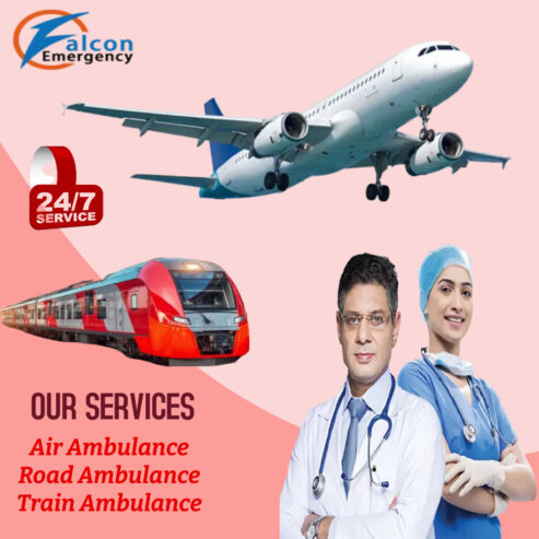 Expert Medical Care Given to the Patients at the Time of Transfer by Falcon Train Ambulance in Guwahati