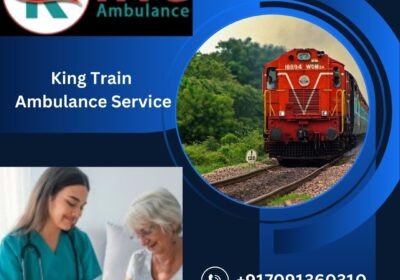 King-Train-Ambulance-Service-1