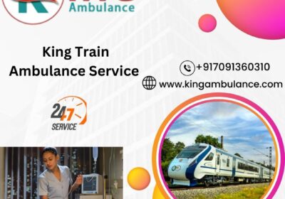 King-Train-Ambulance-Service-3