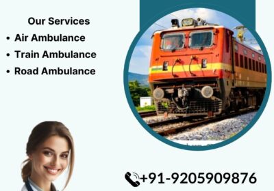 Falcon-Emergency-Train-Ambulance-Services-7