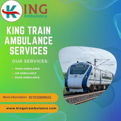 The King Train Ambulance Service in Chennai carries patients with no glitches