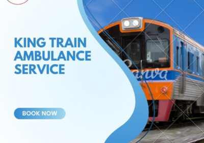 king-train-ambulance-servise-1