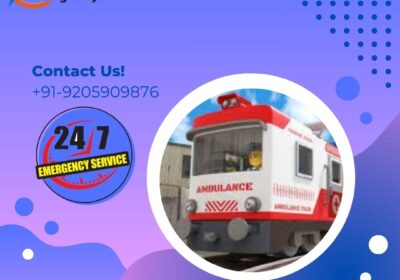 Air-Ambulance-Train-Ambulance-Ground-Ambulance-Aeromedical-9