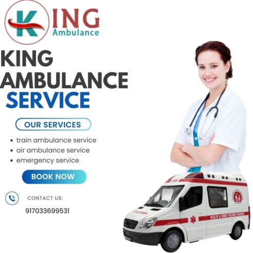 King Train Ambulance in Indore Takes Care of the patient’s Needs during the Move