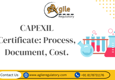 Capexil-Certificate-Process-Document-Cost