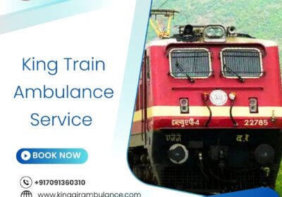 King-Train-Ambulance-Service-25