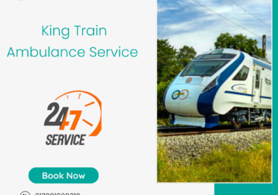 King-Train-Ambulance-Service