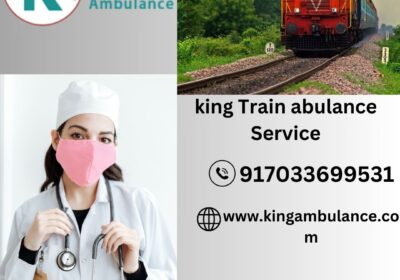 king-Train-abulance-Service-8