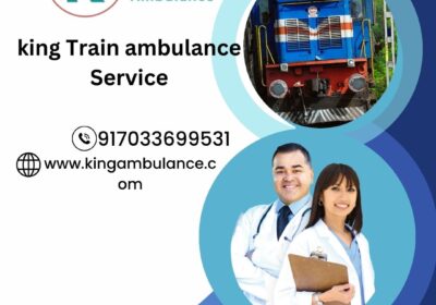 king-Train-ambulance-Service