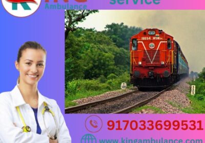 king-train-abulance-service-5