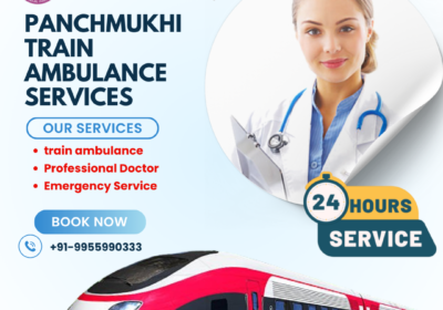 train-ambulance-Professional-Doctor-Emergency-Service