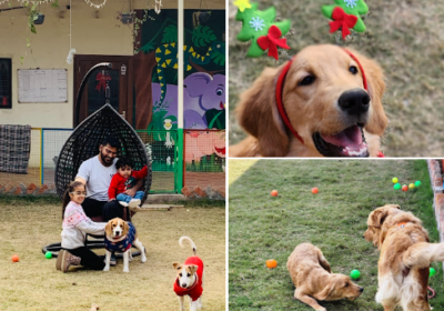 Dog Cafe Noida – Pet-Friendly