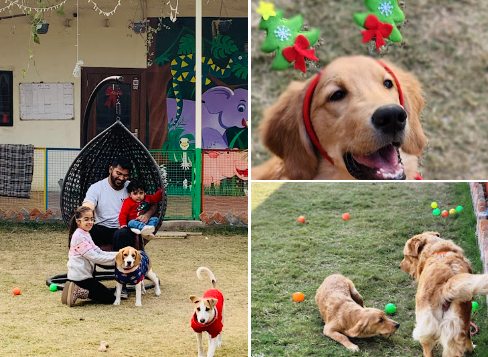 Dog Cafe Noida – Pet-Friendly