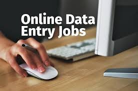 Data Form Filling Project – Bulk & Single-System Data Entry