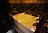 Arya Spa
